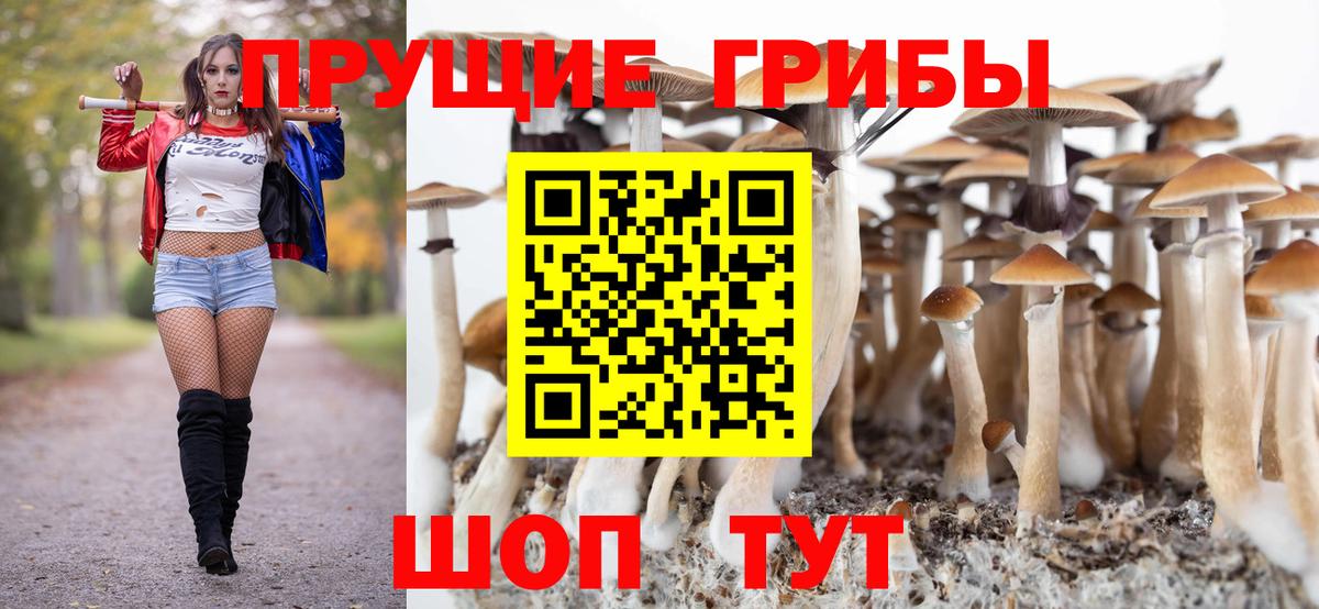 Галлюциногенные грибы MAGIC MUSHROOMS Абинск